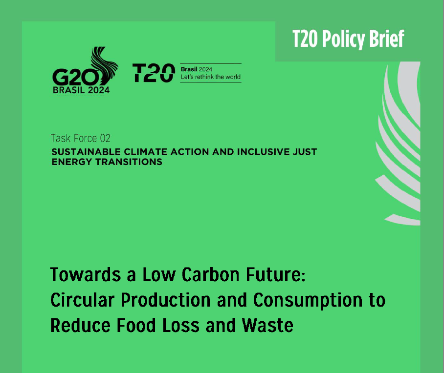 image: G20 Policy Brief