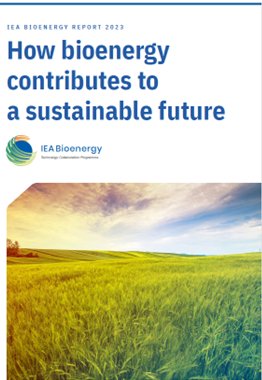 IEA Bioenergy Report 2023: How Bioenergy Contributes To A Sustainable ...