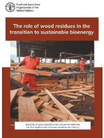 The role of wood residues in the transition to sustainable bioenergy front cover image